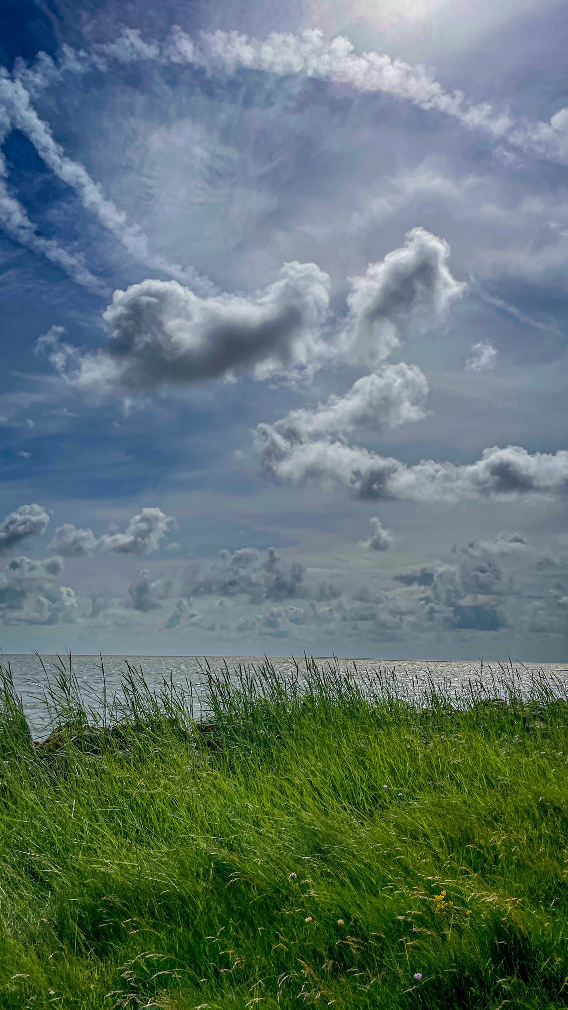 Zen.nl, Zen, meditatie, leren mediteren, foto